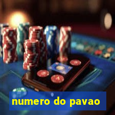 numero do pavao
